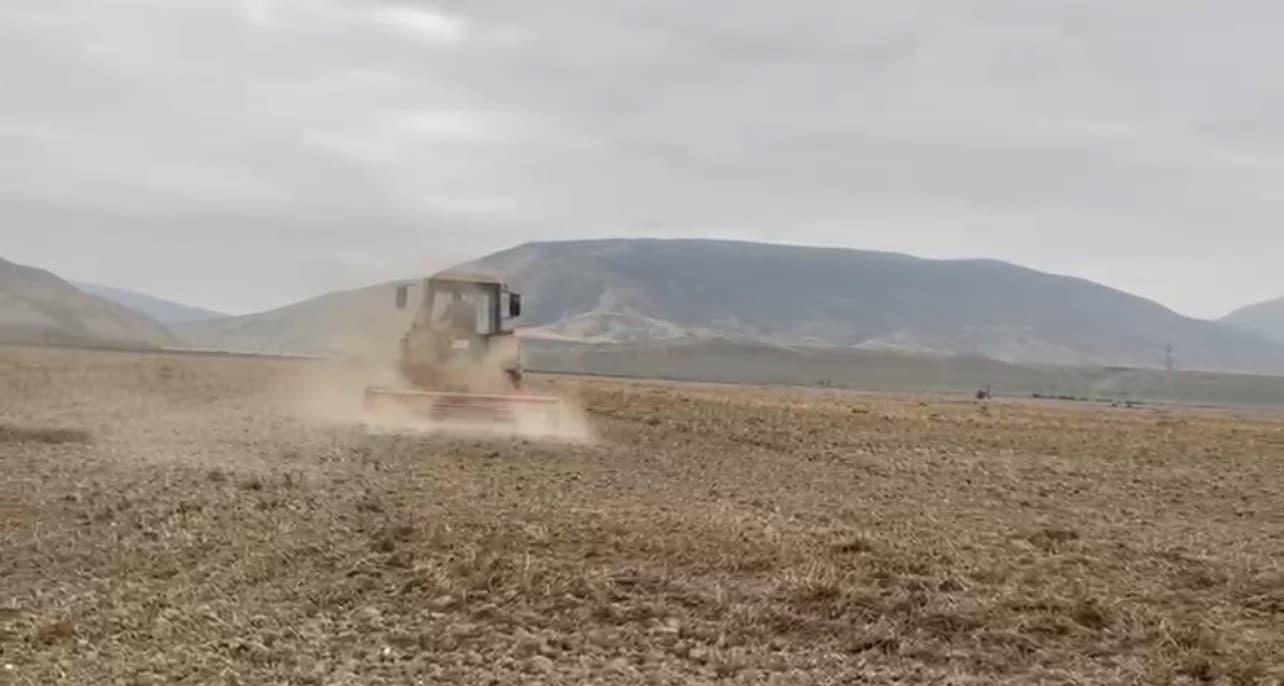 Payızlıq yumşaq buğda əkininə start verildi