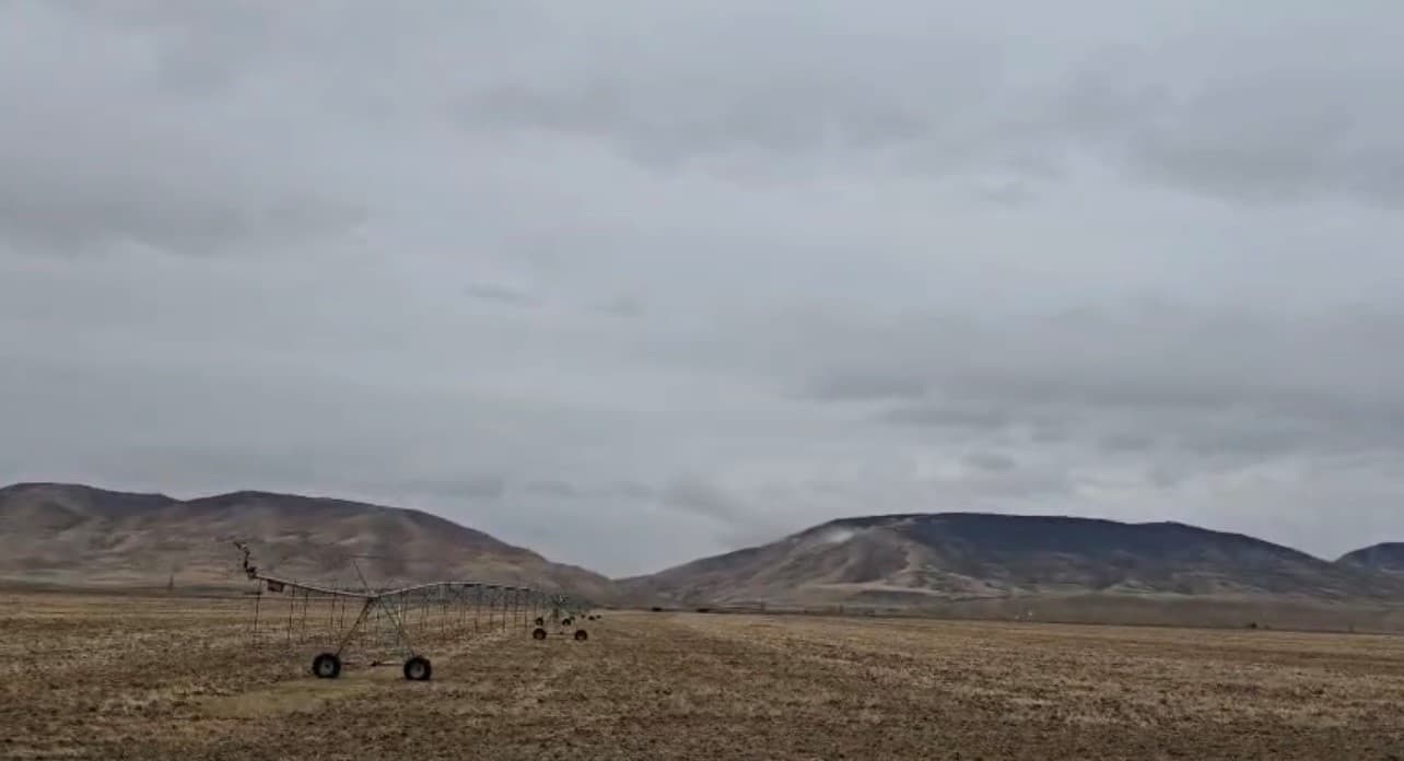 Payızlıq yumşaq buğda əkininə start verildi - 3